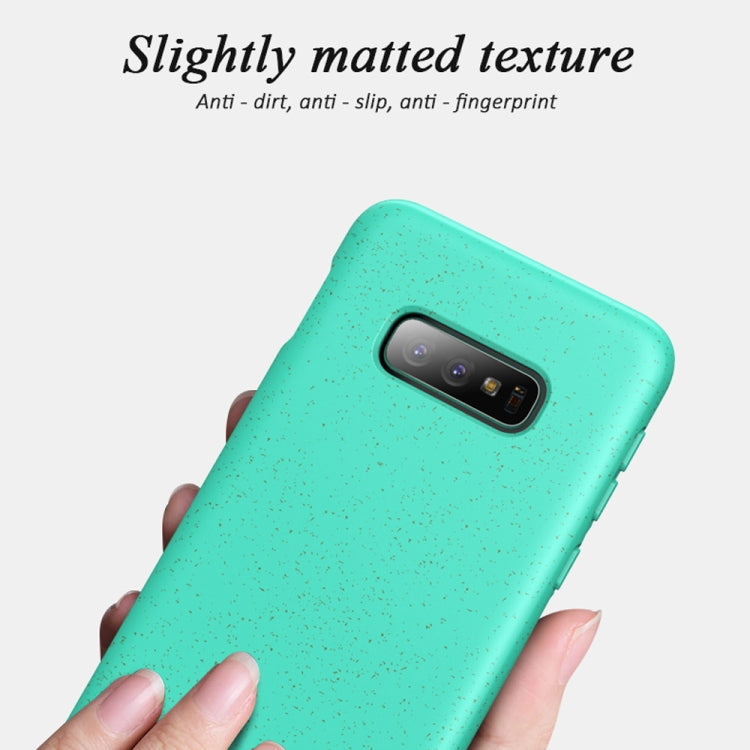 Starry Series Shockproof  Straw Material + TPU Protective Case for Galaxy S10e