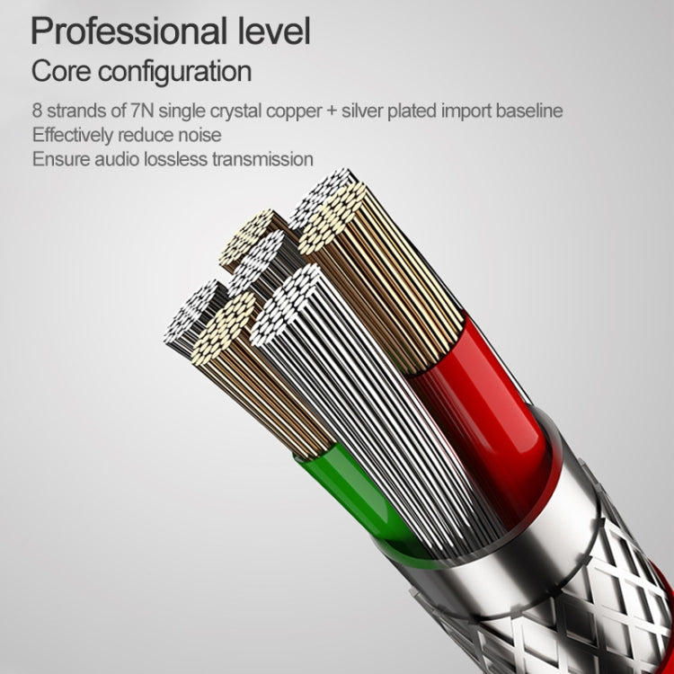 F2 1.2m Wired In Ear USB-C / Type-C Interface Metal HiFi Noise Reduction Earphones with Mic