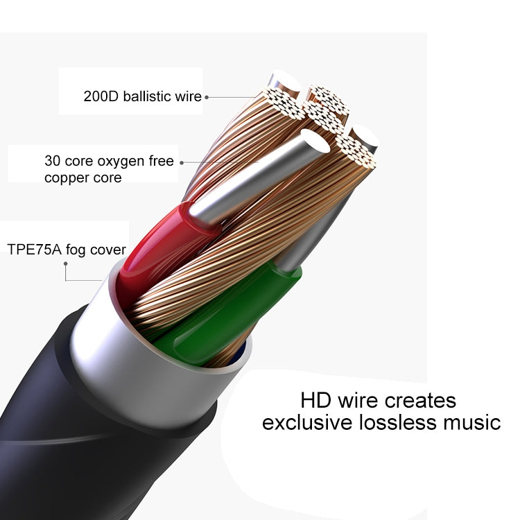 POLVCDG D6T USB-C / Type-C Interface Double Moving Circle In Ear Wired Stereo Earphone for Xiaomi / OPPO / Huawei / Vivo,Tuning Version