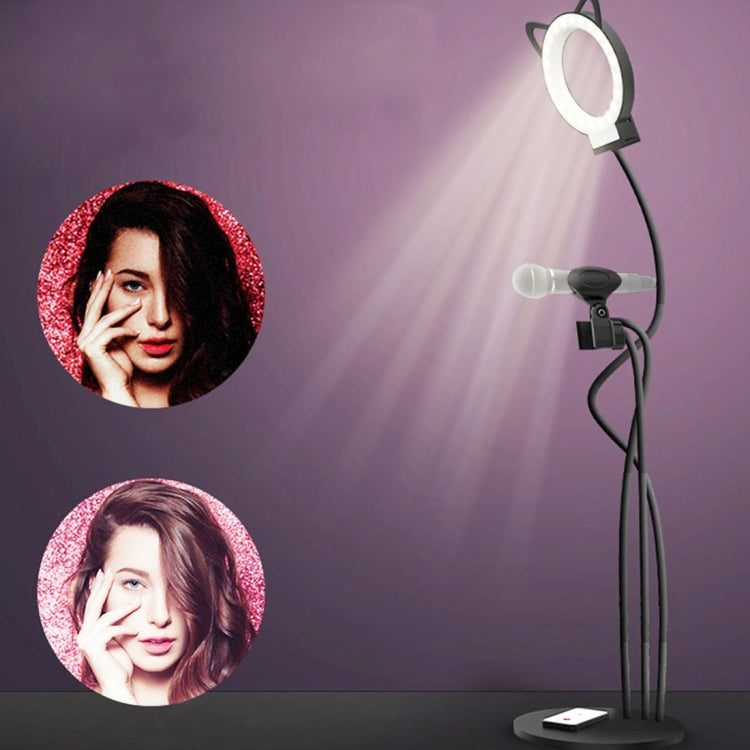 RK25 3 in 1 Selfie Ring Light with Cell Phone & Microphone Holder Stand for Live Stream, With 3-Light Mode, 9-Level Brightness, for iPhone / Android(Black)