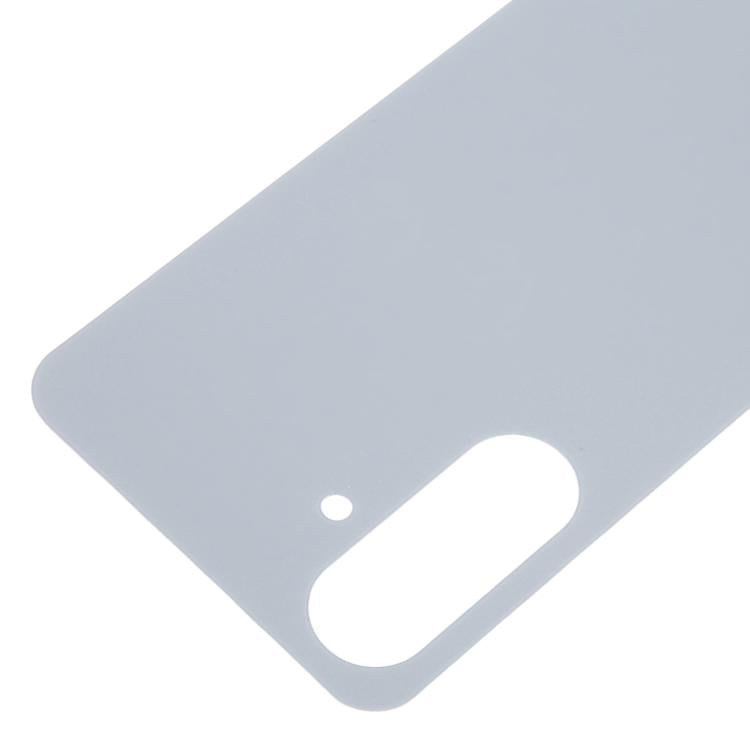 For Samsung Galaxy A17 5G SM-A176B OEM Back Cover