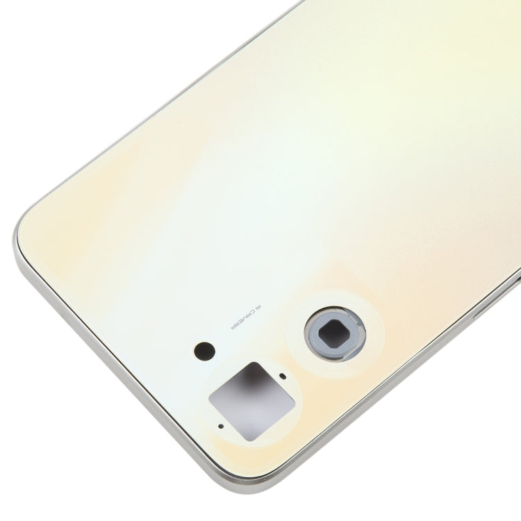 For Realme V30 Original Battery Back Cover with Middle Frame