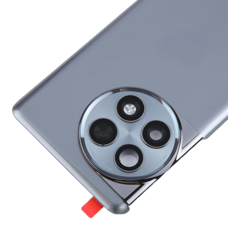 For OnePlus Ace 2 Pro PJA110 Original Glass Battery Back Cover with Camera Lens Frame