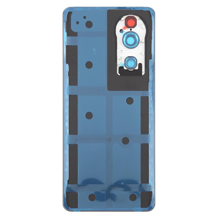 For vivo V40 Pro Battery Back Cover with Camera Lens Frame - Gray