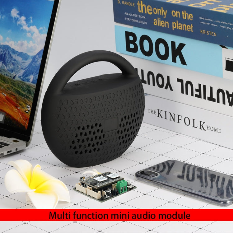 Q1 WiFi Wireless Music Box Bluetooth 5.0 2-in-1 Wireless Network Audio Receiver Bluetooth Module