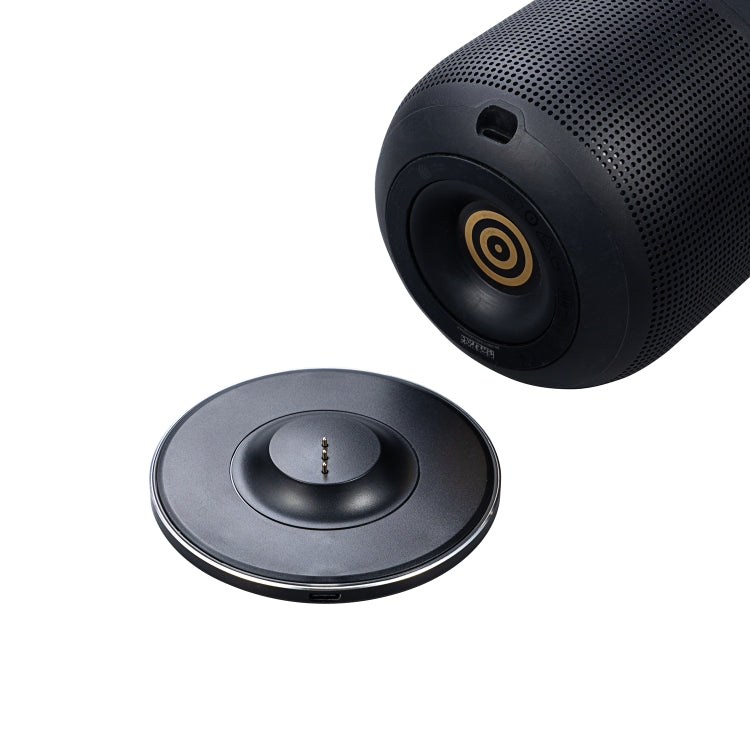 Charging Cradle for Bose Portable Home Speaker