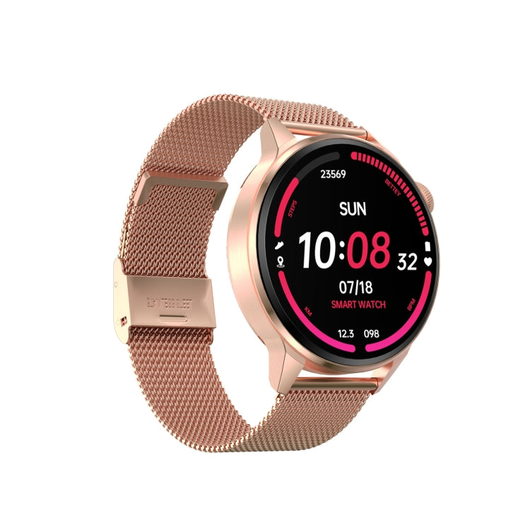 DT4 1.36 inch Steel Watchband Color Screen Smart Watch