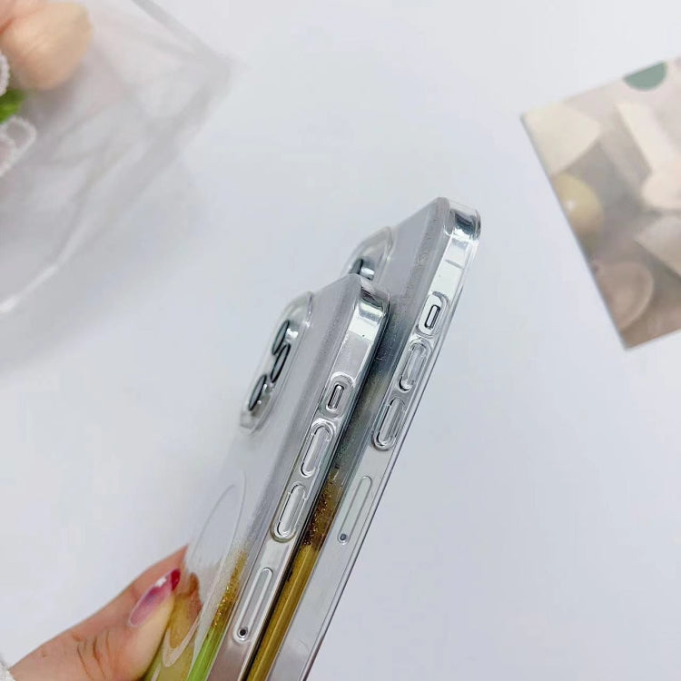 For iPhone 16 Pro Gilding MagSafe Hybrid Clear TPU Phone Case