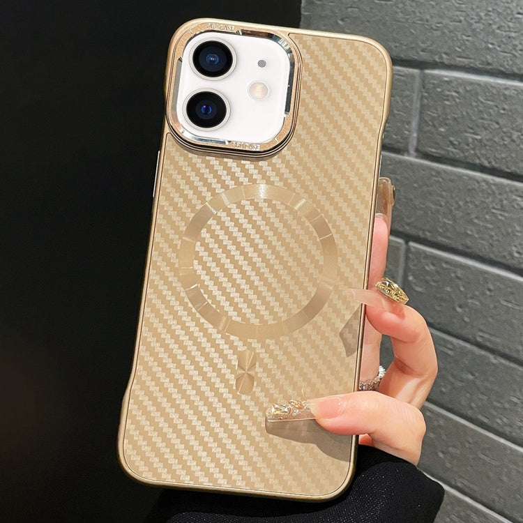 For iPhone 12 AG Carbon Fiber Frameless MagSafe Phone Case