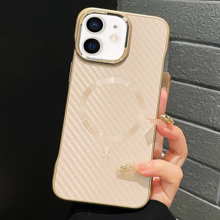 For iPhone 12 AG Carbon Fiber Frameless MagSafe Phone Case