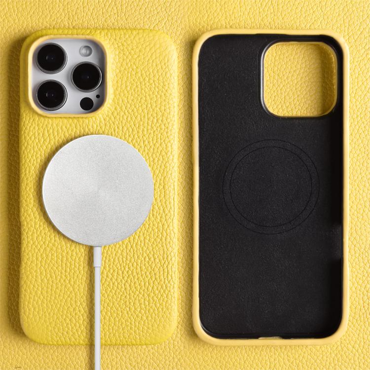 For iPhone 12 Pro Litchi Texture Genuine Leather MagSafe Back Phone Case