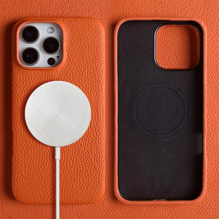 For iPhone 15 Pro Litchi Texture Genuine Leather MagSafe Back Phone Case
