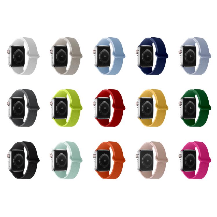 For Apple Watch 42mm / 41mm / 40mm / 38mm Lychee Pattern Magnetic Loop Silicone Watch Band