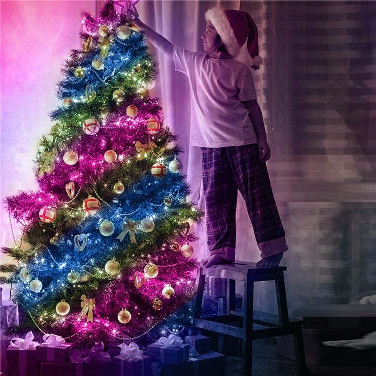 LXDC042 APP Controlled Smart LED String Lights Christmas Party Decoration Lights, Size:20M 200 LEDs