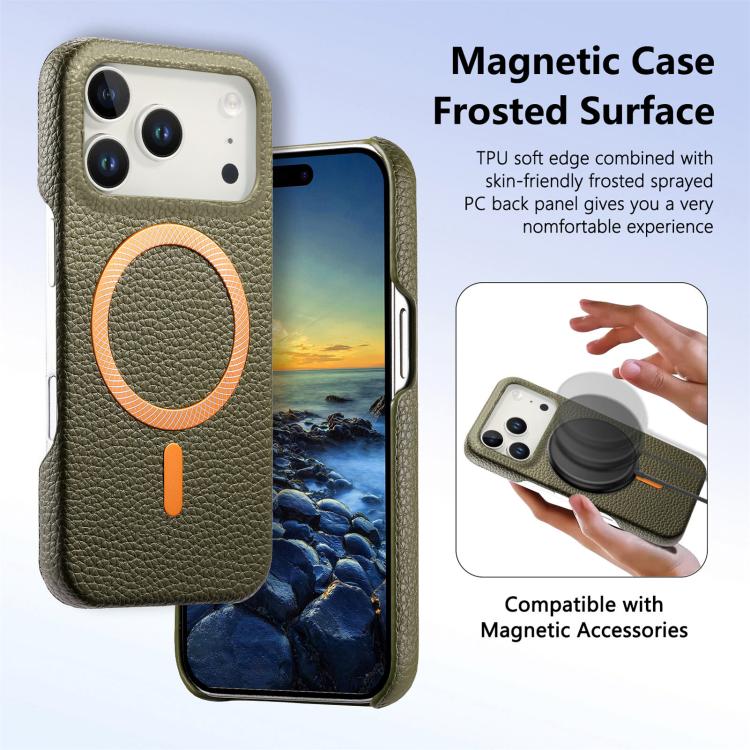 For iPhone 17 Pro Litchi Texture Brushed MagSafe PU Back Cover Phone Case