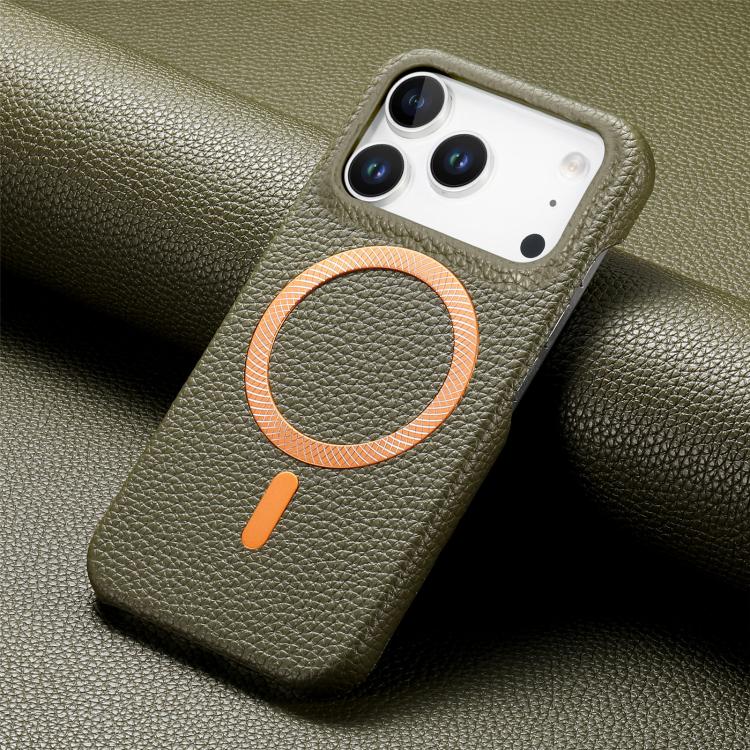For iPhone 17 Pro Litchi Texture Brushed MagSafe PU Back Cover Phone Case