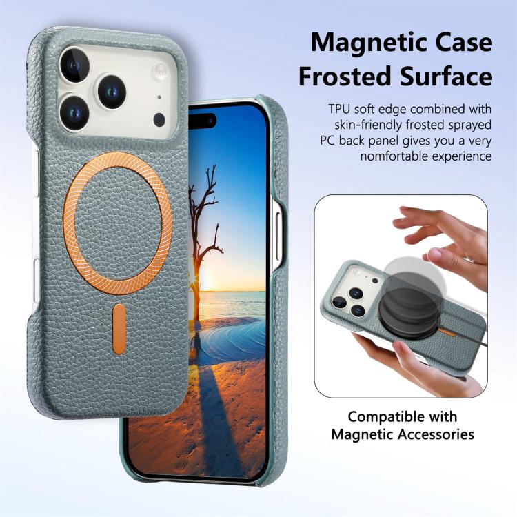 For iPhone 17 Pro Litchi Texture Brushed MagSafe PU Back Cover Phone Case