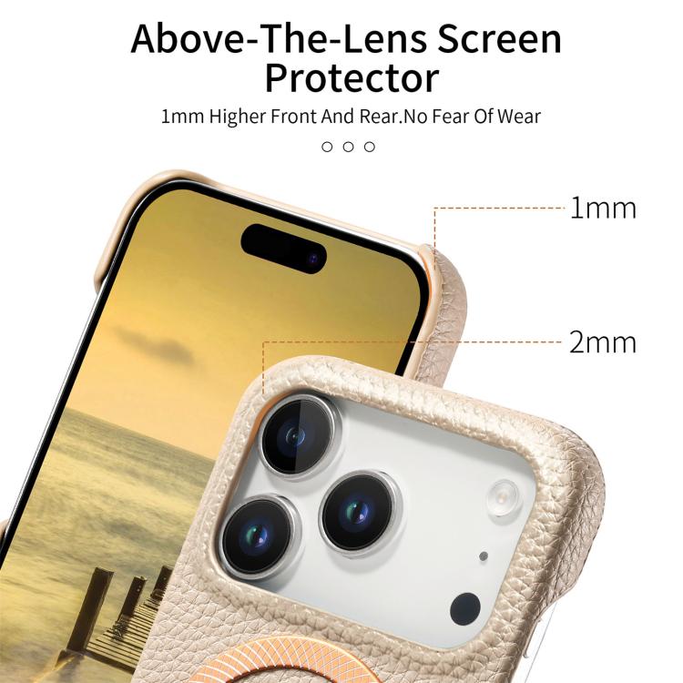 For iPhone 17 Pro Litchi Texture Brushed MagSafe PU Back Cover Phone Case