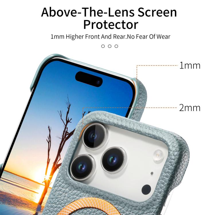 For iPhone 17 Pro Max Litchi Texture Brushed MagSafe PU Back Cover Phone Case
