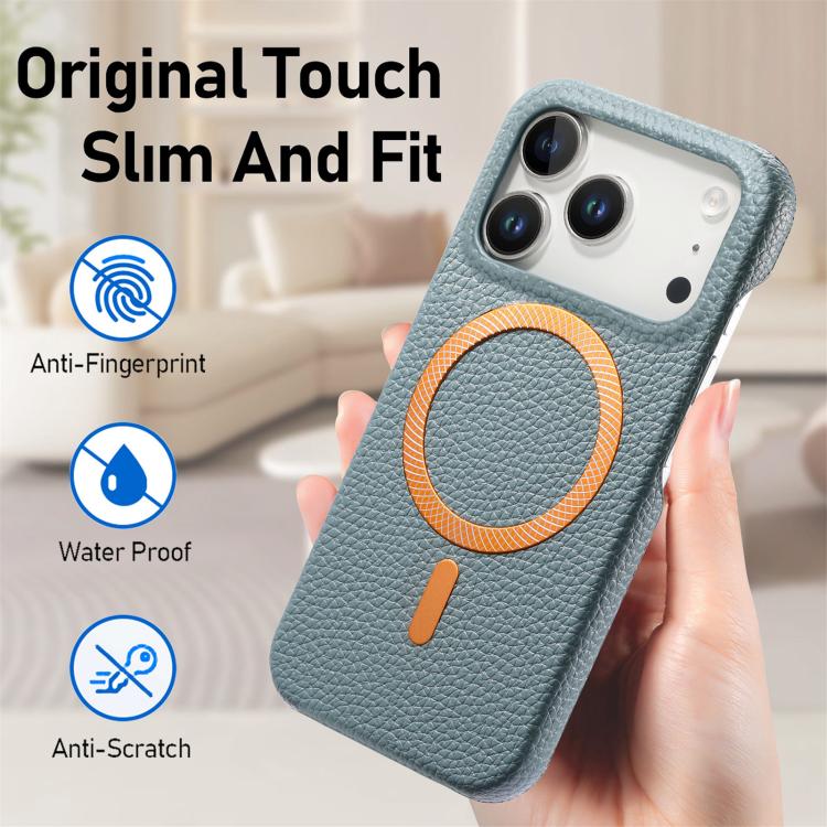 For iPhone 17 Pro Max Litchi Texture Brushed MagSafe PU Back Cover Phone Case