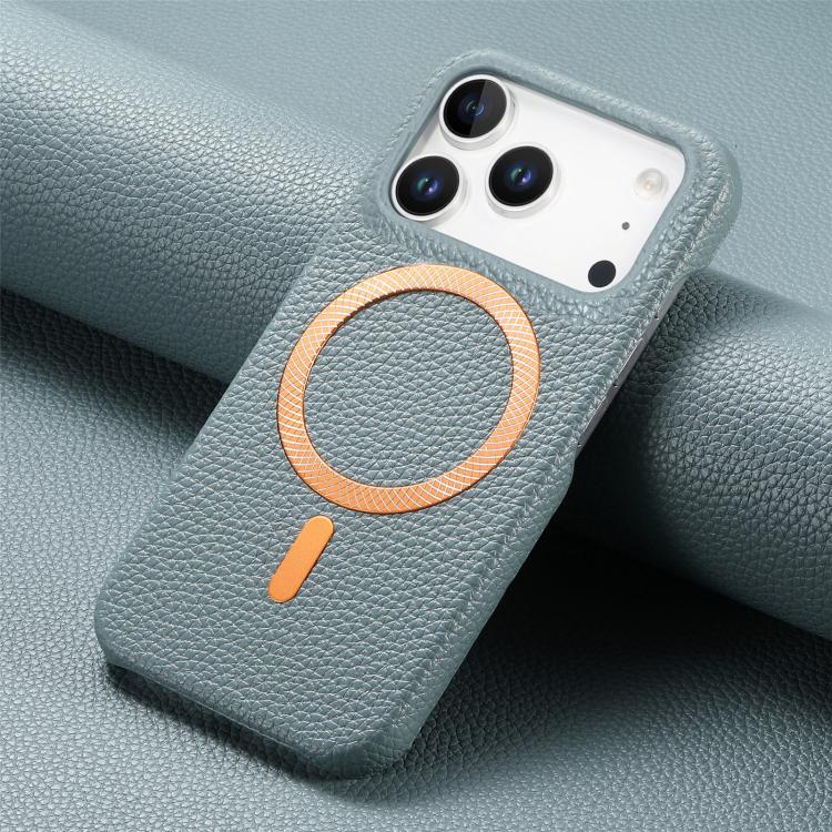 For iPhone 17 Pro Max Litchi Texture Brushed MagSafe PU Back Cover Phone Case