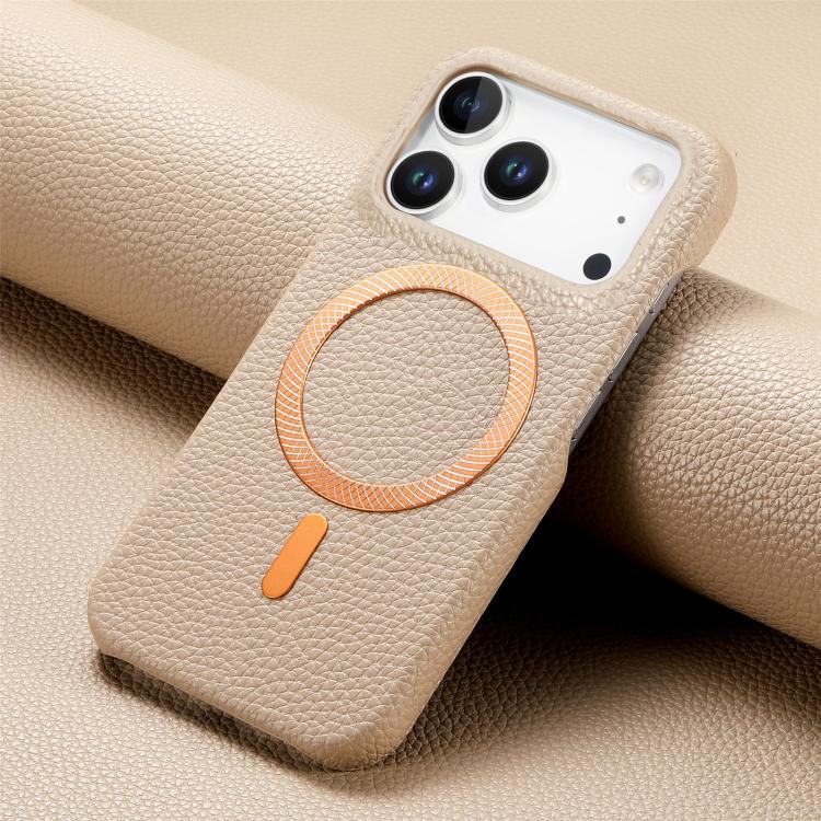 For iPhone 17 Pro Max Litchi Texture Brushed MagSafe PU Back Cover Phone Case
