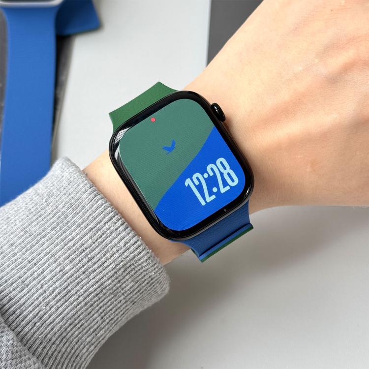 For Apple Watch 46mm / 49mm / 45mm / 44mm Two-tone Lychee-textured Magnetic Silicone Watch Band