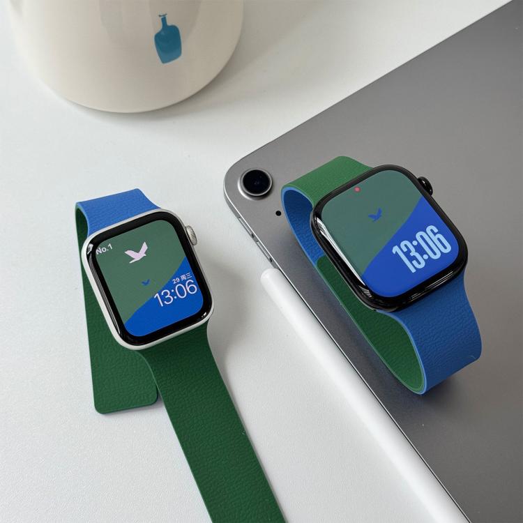 For Apple Watch 46mm / 49mm / 45mm / 44mm Two-tone Lychee-textured Magnetic Silicone Watch Band
