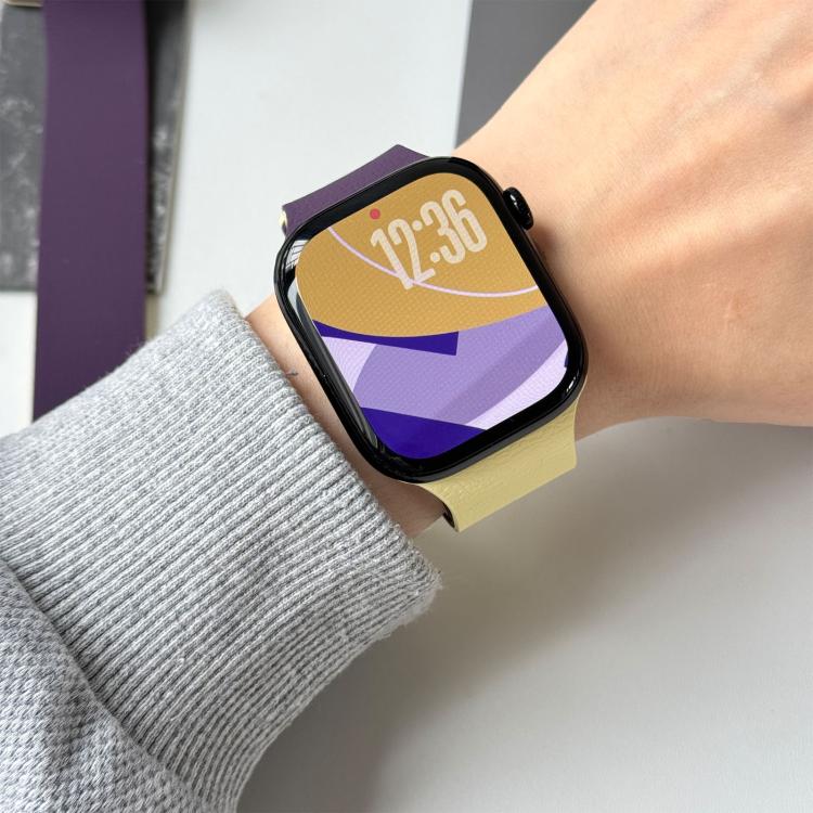 For Apple Watch 42mm / 41mm / 40mm / 38mm Two-tone Lychee-textured Magnetic Silicone Watch Band