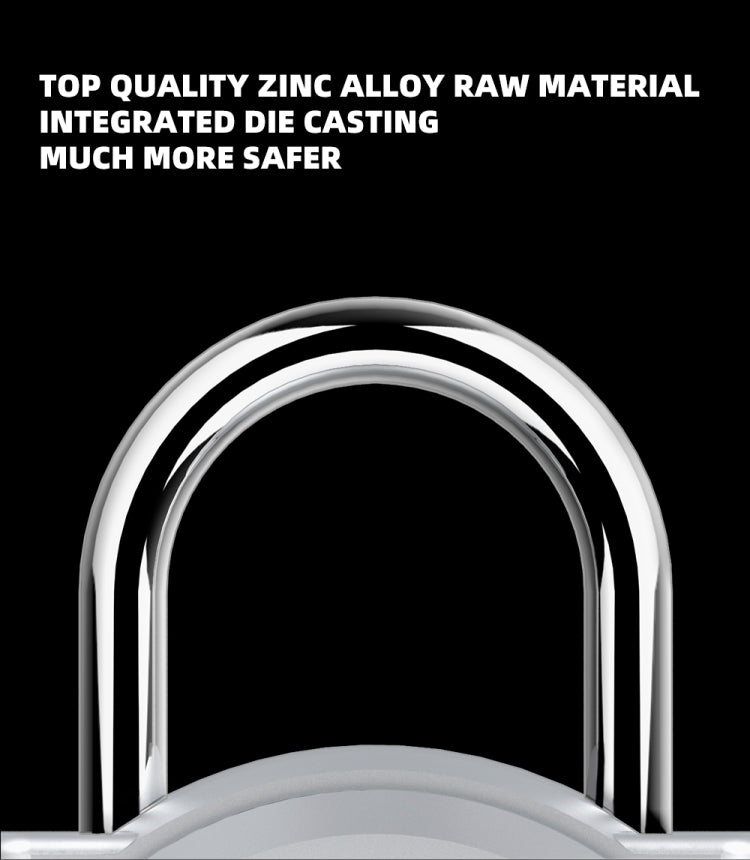 P10 Fingerprint Lock Alloy Fingerprint Padlock Gym Small Lock Cabinet Lock Electronic Lock At Home(Silver)