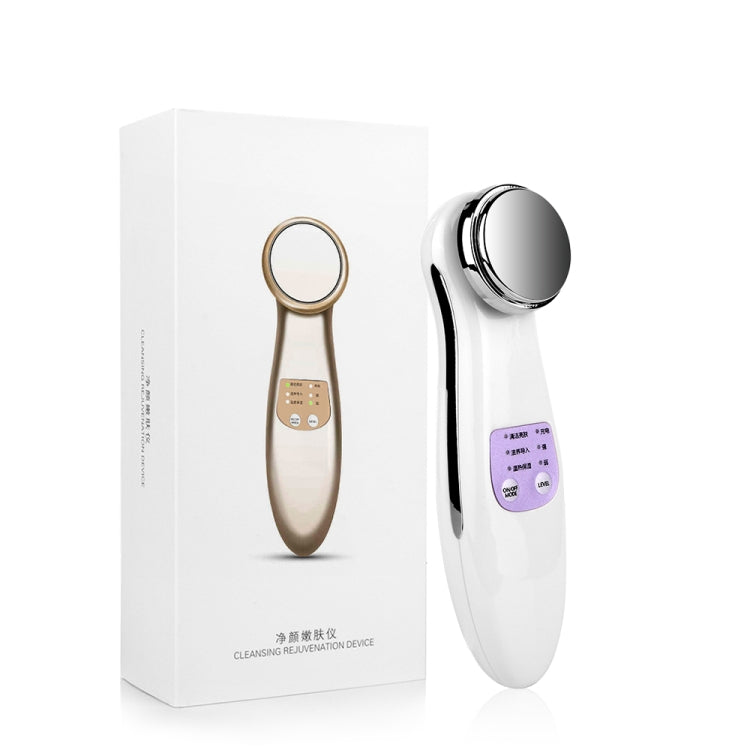 DRY-001  Mini Rejuvenation Beauty Massager Facial Firming Charging Hot Compression Essence Wrinkle Deep Cleansing Skin Beauty Tool