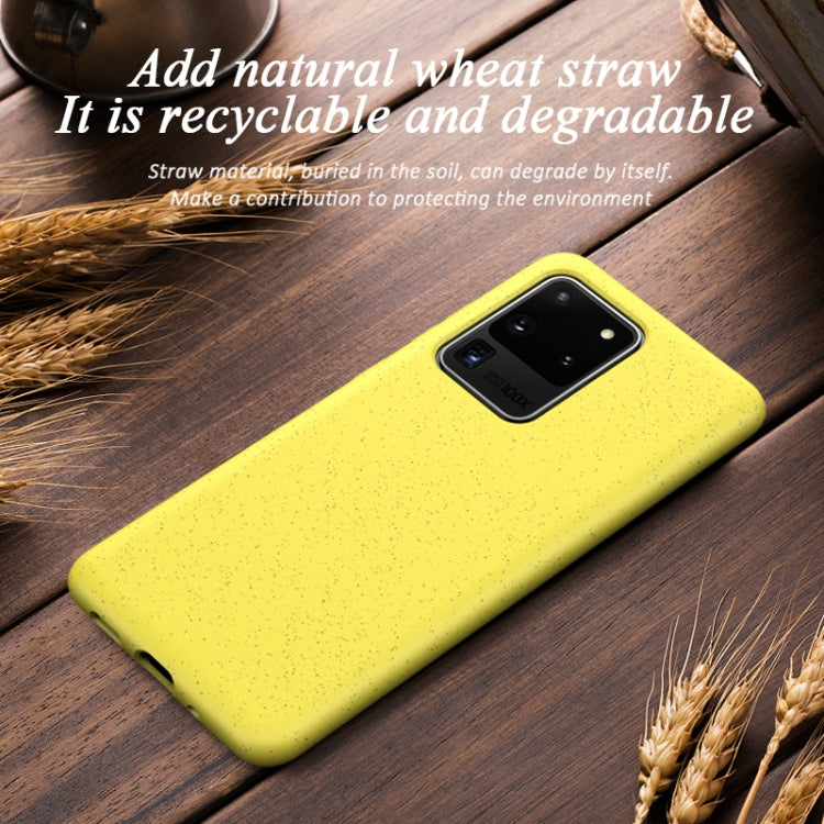 For Galaxy S20 Ultra Starry Series Shockproof Straw Material + TPU Protective Case