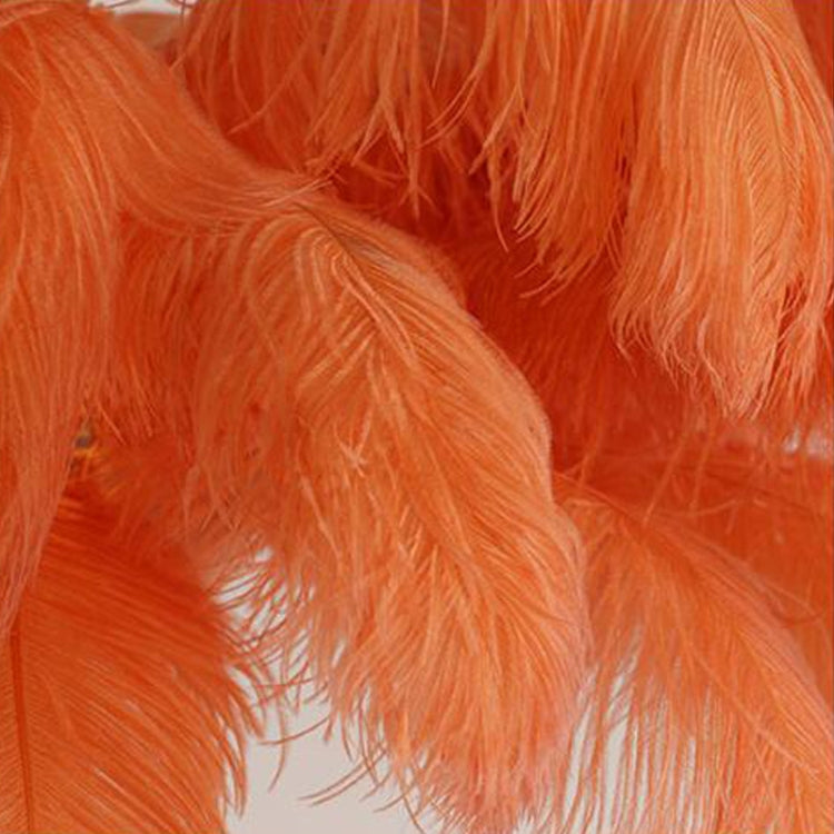 Resin Ostrich Feather Floor Lamp