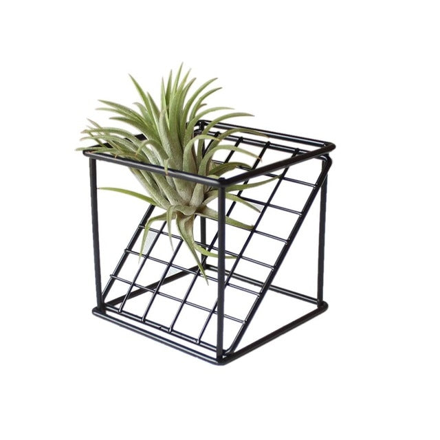 Wrought Iron Flower Stand Geometric Wall Hanging Succulent Plants Pot Wedding Creative Flower Plant Container Home Decoration, Color:Black