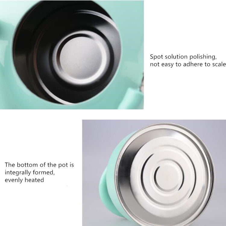 Non Magnetic Thick Stainless Steel Whistle Kettle Dome Whistle Kettle, Color:2.5L natural color