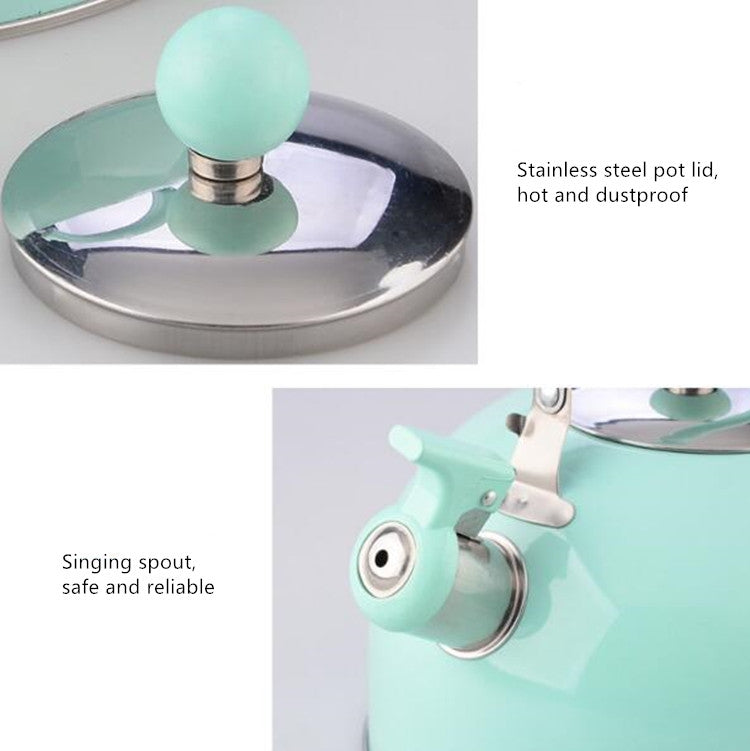 Non Magnetic Thick Stainless Steel Whistle Kettle Dome Whistle Kettle, Color:2.5L color