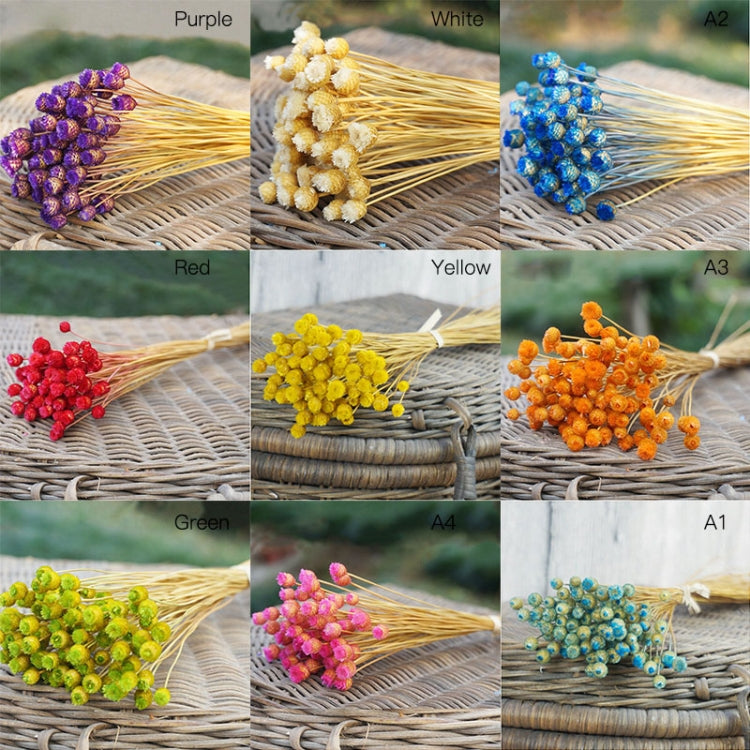 50 PCS Natural Art Dried Flowers Floral DIY Artificial Happy Flowers For Garden Decor Photo Props