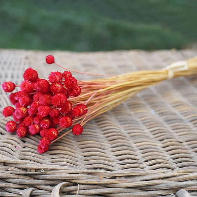 50 PCS Natural Art Dried Flowers Floral DIY Artificial Happy Flowers For Garden Decor Photo Props