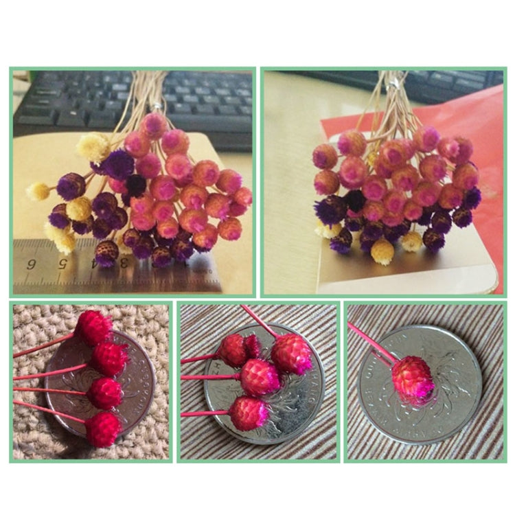 50 PCS Natural Art Dried Flowers Floral DIY Artificial Happy Flowers For Garden Decor Photo Props