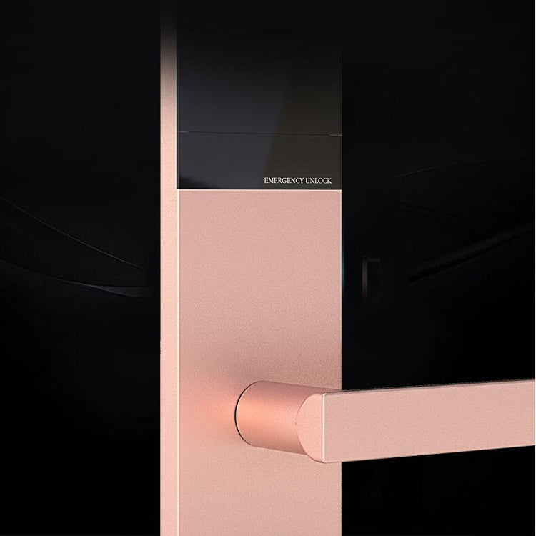 Standard Edition Titanium Empty Aluminum Hotel Guesthouse Apartment Magnetic Card Swipe Induction Smart Electronic Door Lock