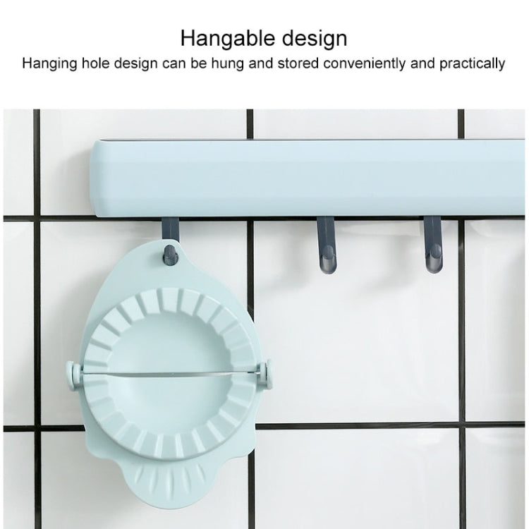 10 PCS Home-made Fish Shape Dumplings Tools Random Color Delivery