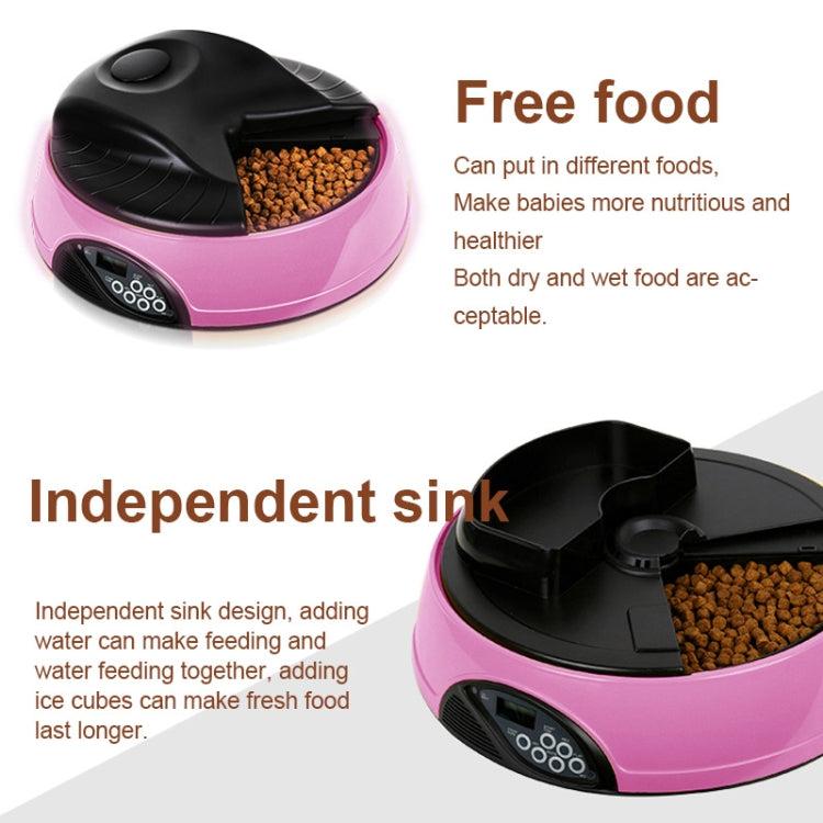 Pet Feed Wet Food Automatic Timing Feeder Cat can Soak in Water Dispenser