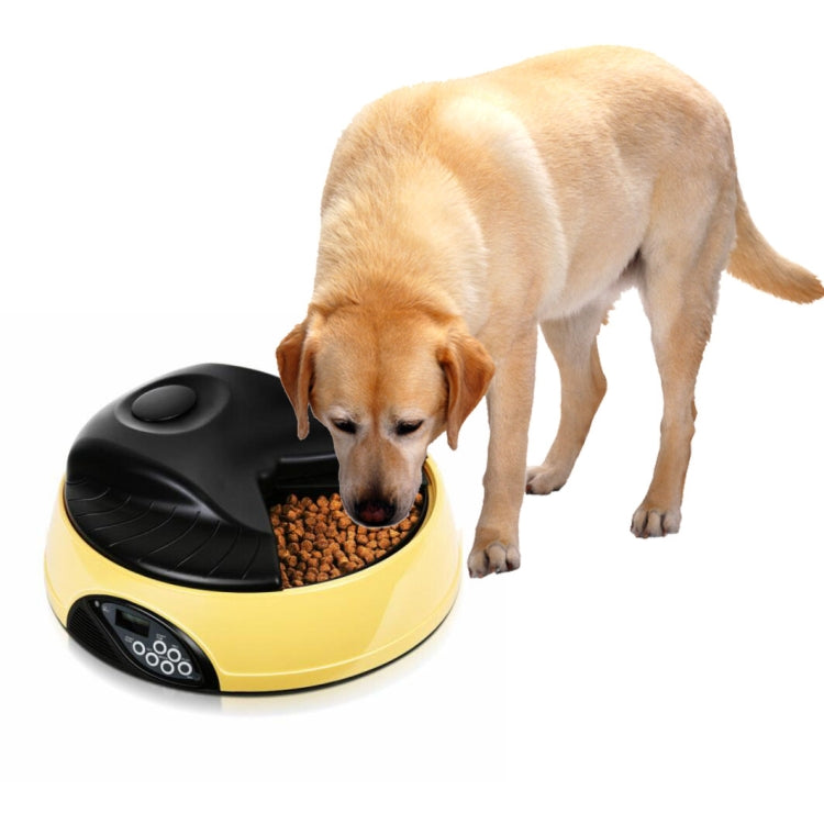 Pet Feed Wet Food Automatic Timing Feeder Cat can Soak in Water Dispenser