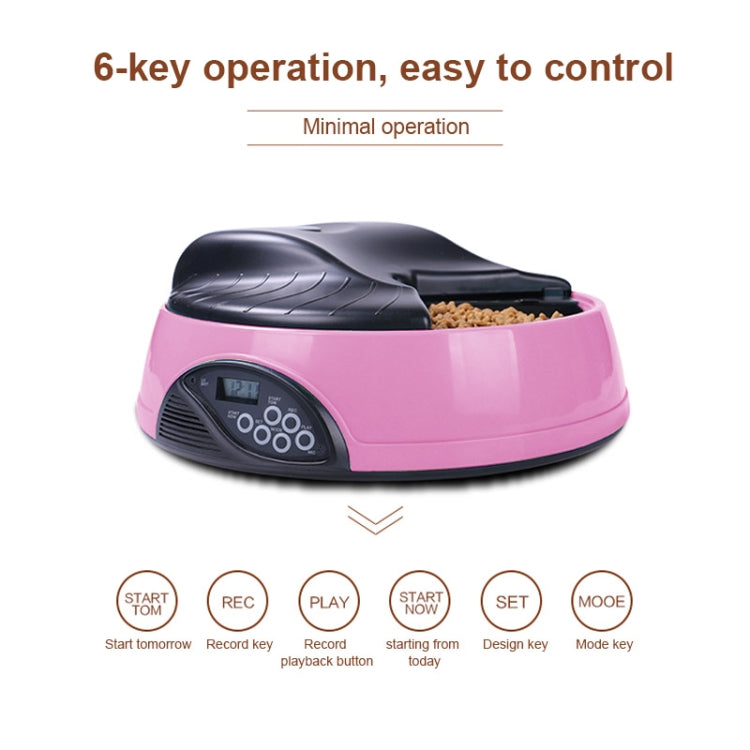 Pet Feed Wet Food Automatic Timing Feeder Cat can Soak in Water Dispenser