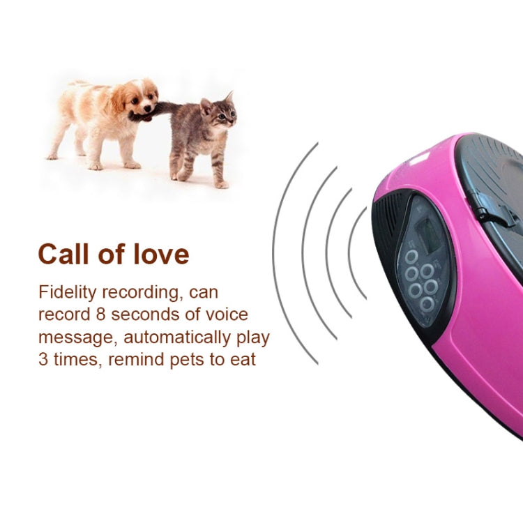 Pet Feed Wet Food Automatic Timing Feeder Cat can Soak in Water Dispenser