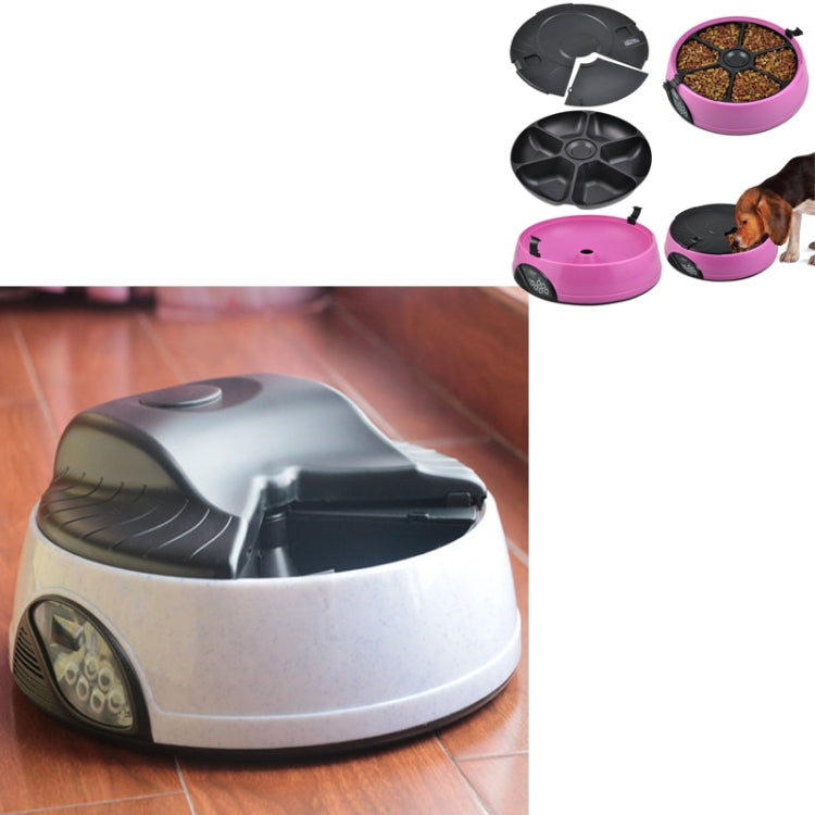 Pet Feed Wet Food Automatic Timing Feeder Cat can Soak in Water Dispenser