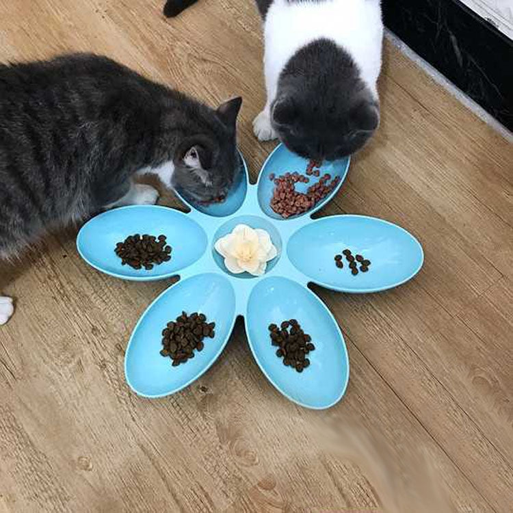 Cat and Dog Bowl Teddy Short Rice Bowl Family Pets Six-sided Petal Type Pet Supplies