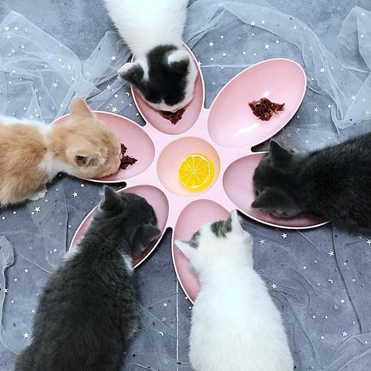 Cat and Dog Bowl Teddy Short Rice Bowl Family Pets Six-sided Petal Type Pet Supplies