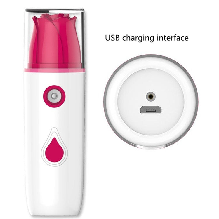 Rose Nano Spray Water Spray Moisturizer Disinfection Automatic Alcohol Sprayer