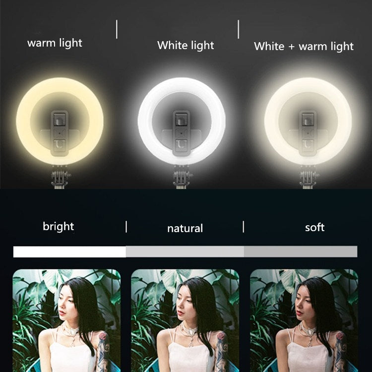 L07 Bluetooth Selfie Stick 5 Inch Ring Fill Light Anchor Beauty Light Mobile Live Support